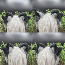 Load image into Gallery viewer, Black/Gray Border Collie