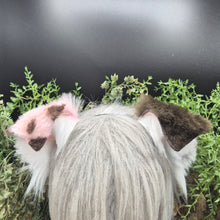 Load image into Gallery viewer, Choco Strawberry Small Border Collie