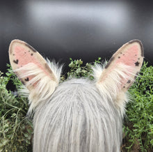 Load image into Gallery viewer, Spotted Upright Bunny