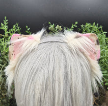 Load image into Gallery viewer, Neapolitan Mini Kitten