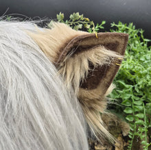 Load image into Gallery viewer, Werewolf Pup