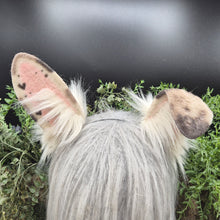 Load image into Gallery viewer, Spotted Upright Bunny