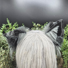 Load image into Gallery viewer, Gray Spotted Small Border Collie