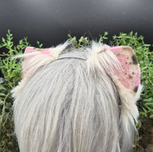 Load image into Gallery viewer, Neapolitan Mini Kitten