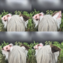 Load image into Gallery viewer, Choco Strawberry Small Border Collie