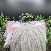 Load image into Gallery viewer, Lavender Mini Kitten