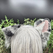 Load image into Gallery viewer, Blue Merle Rounded Puppy