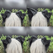 Load image into Gallery viewer, Black Border Collie