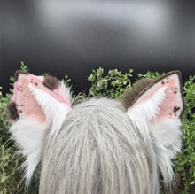 Load image into Gallery viewer, Choco Strawberry Small Border Collie