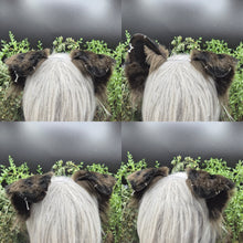 Load image into Gallery viewer, Dark Brown Spotted Rounded Puppy