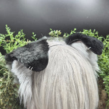 Load image into Gallery viewer, Mismatched Rounded Puppy