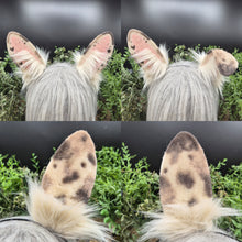 Load image into Gallery viewer, Spotted Upright Bunny