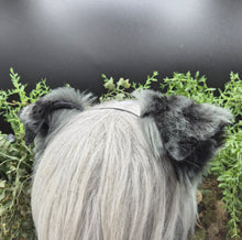 Load image into Gallery viewer, Gray Spotted Small Border Collie