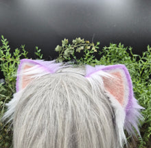 Load image into Gallery viewer, Lavender Mini Kitten