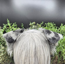 Load image into Gallery viewer, Blue Merle Rounded Puppy