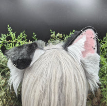 Load image into Gallery viewer, Mismatched Rounded Puppy