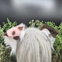 Load image into Gallery viewer, Choco Strawberry Small Border Collie