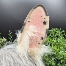 Load image into Gallery viewer, Spotted Upright Bunny