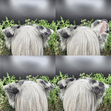 Load image into Gallery viewer, Blue Merle Rounded Puppy