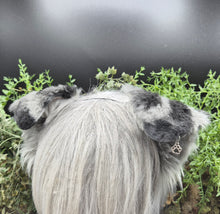 Load image into Gallery viewer, Blue Merle Rounded Puppy