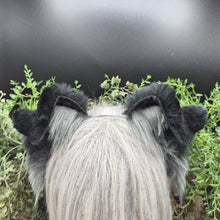 Load image into Gallery viewer, Black/Gray Border Collie