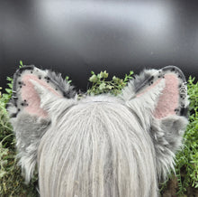 Load image into Gallery viewer, Blue Merle Rounded Puppy