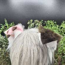 Load image into Gallery viewer, Choco Strawberry Small Border Collie