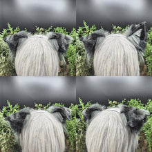 Load image into Gallery viewer, Gray Spotted Small Border Collie