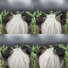Load image into Gallery viewer, Mismatched Rounded Puppy