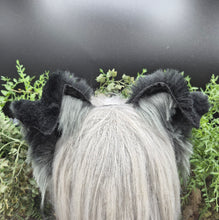 Load image into Gallery viewer, Black/Gray Border Collie