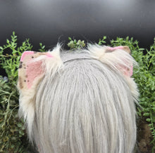 Load image into Gallery viewer, Neapolitan Mini Kitten