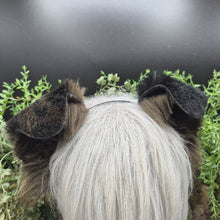 Load image into Gallery viewer, Mismatched Rounded Puppy