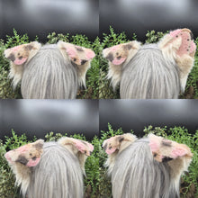 Load image into Gallery viewer, Neapolitan Rounded Puppy