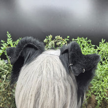 Load image into Gallery viewer, Black Border Collie