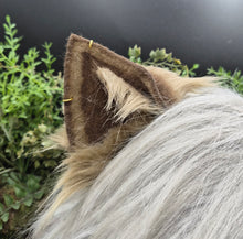 Load image into Gallery viewer, Werewolf Pup