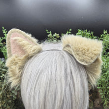 Load image into Gallery viewer, Sandy Blonde Rounded Puppy